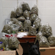 Illustration for article titled The Grinch confiscated 60 lbs of weed!
